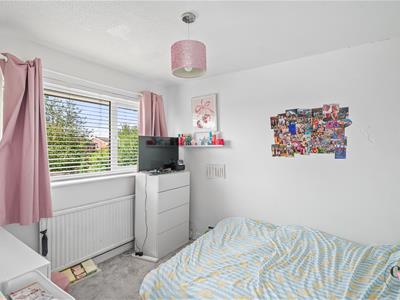 Picture 20